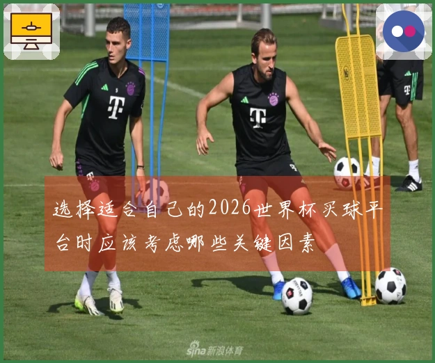 选择适合自己的2026世界杯买球平台时应该考虑哪些关键因素
