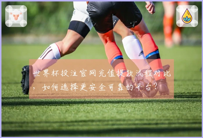 世界杯投注官网充值提款流程对比，如何选择更安全可靠的平台？
