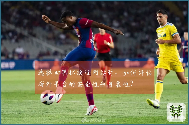 选择世界杯投注网站时，如何评估海外平台的安全性和可靠性？