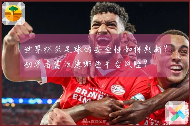 世界杯买足球的安全性如何判断？初学者需注意哪些平台风险？
