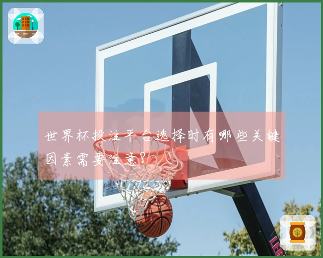 世界杯投注平台选择时有哪些关键因素需要注意？
