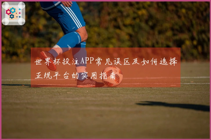 世界杯投注APP常见误区及如何选择正规平台的实用指南