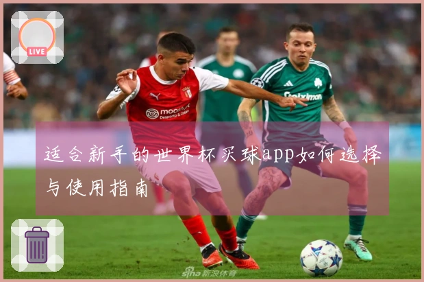 适合新手的世界杯买球app如何选择与使用指南