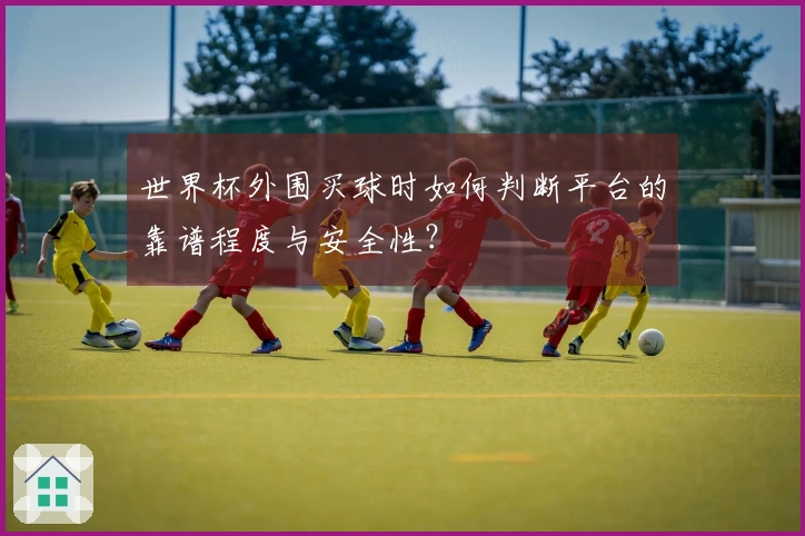 世界杯外围买球时如何判断平台的靠谱程度与安全性？