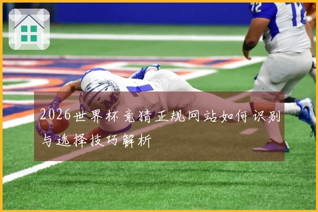 2026世界杯竞猜正规网站如何识别与选择技巧解析