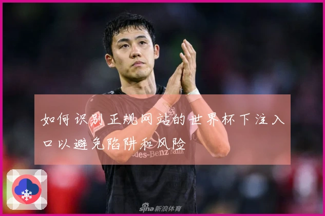 如何识别正规网站的世界杯下注入口以避免陷阱和风险