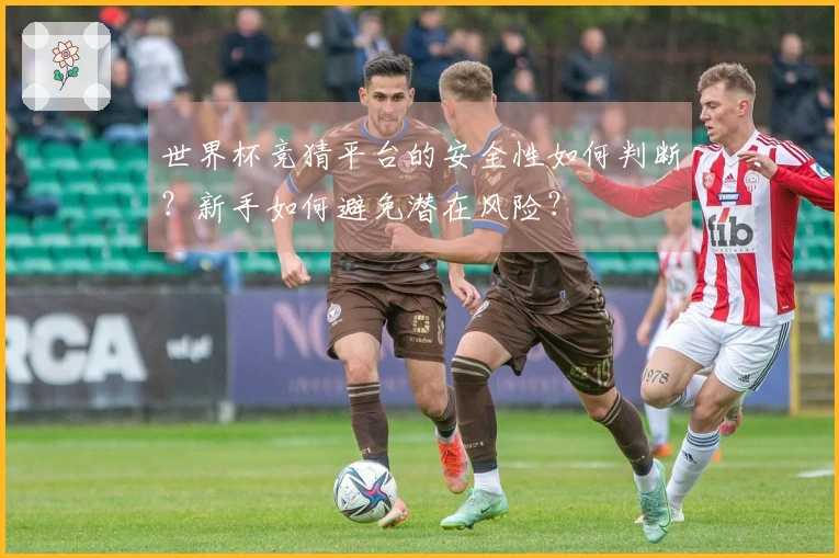 世界杯竞猜平台的安全性如何判断？新手如何避免潜在风险？