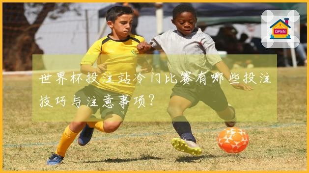 世界杯投注站冷门比赛有哪些投注技巧与注意事项？