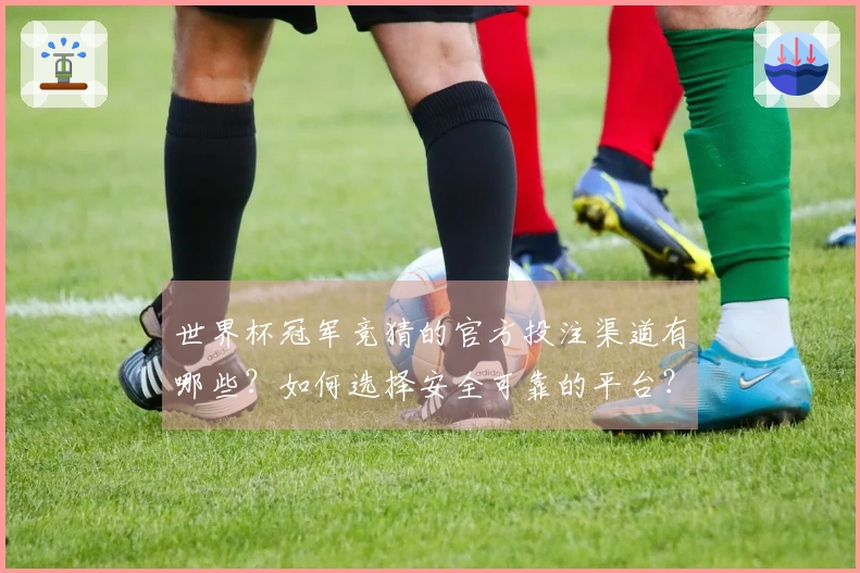 世界杯冠军竞猜的官方投注渠道有哪些？如何选择安全可靠的平台？