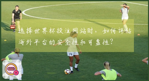 选择世界杯投注网站时，如何评估海外平台的安全性和可靠性？