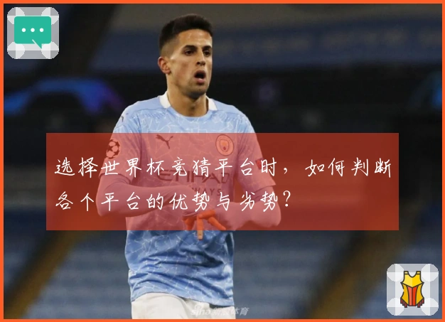 选择世界杯竞猜平台时，如何判断各个平台的优势与劣势？