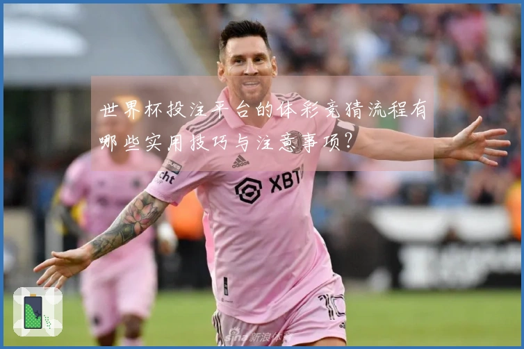世界杯投注平台的体彩竞猜流程有哪些实用技巧与注意事项？