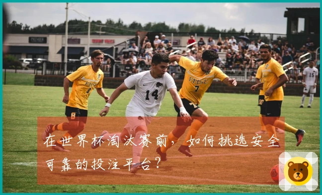 在世界杯淘汰赛前，如何挑选安全可靠的投注平台？