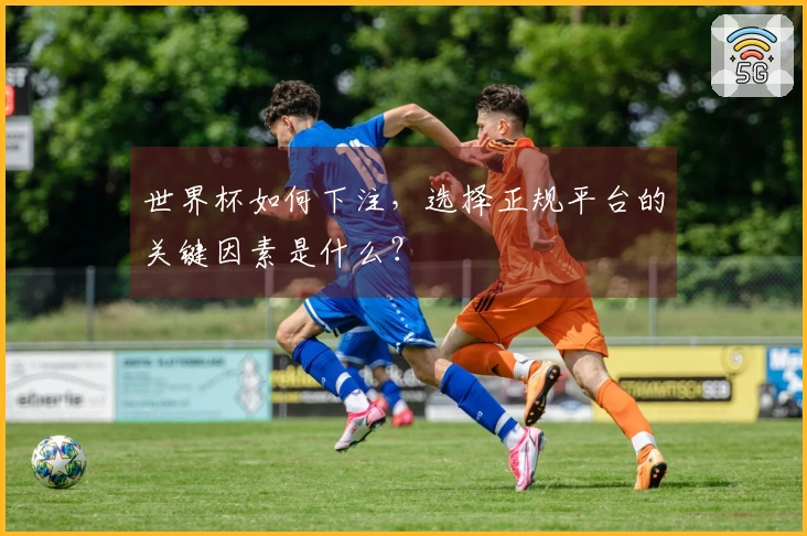 世界杯如何下注，选择正规平台的关键因素是什么？