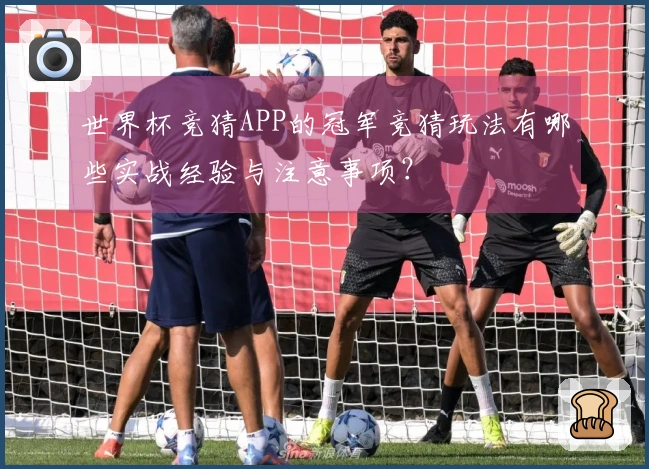 世界杯竞猜APP的冠军竞猜玩法有哪些实战经验与注意事项？