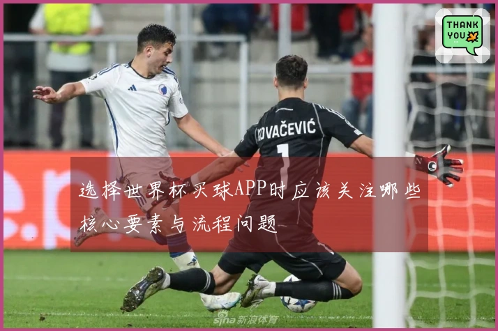 选择世界杯买球APP时应该关注哪些核心要素与流程问题