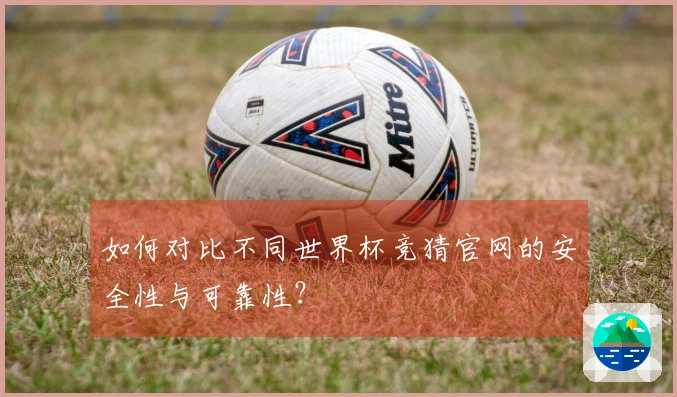 如何对比不同世界杯竞猜官网的安全性与可靠性？
