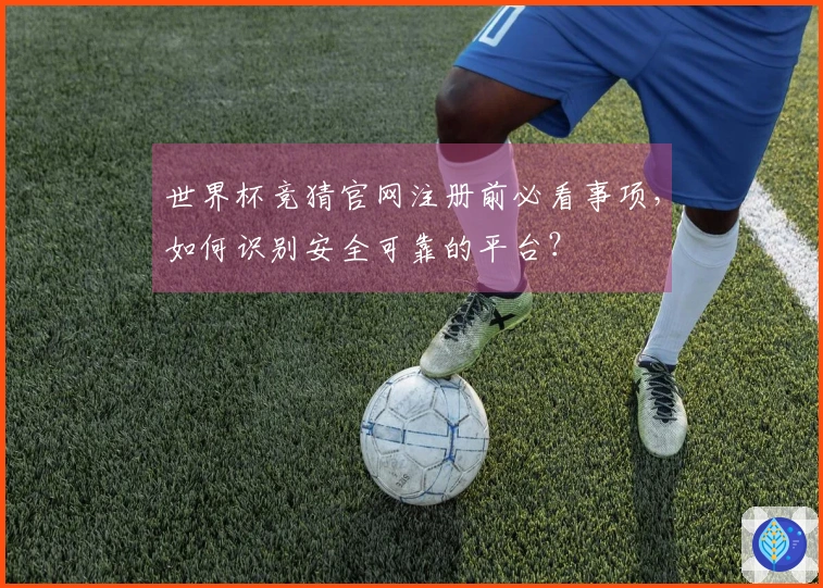 世界杯竞猜官网注册前必看事项，如何识别安全可靠的平台？