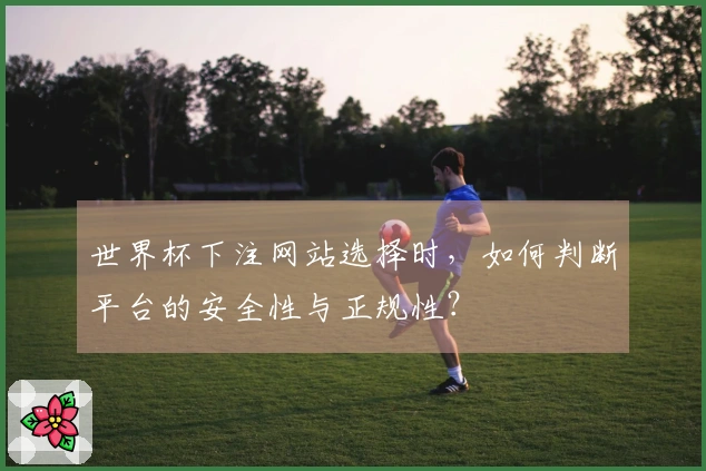 世界杯下注网站选择时，如何判断平台的安全性与正规性？